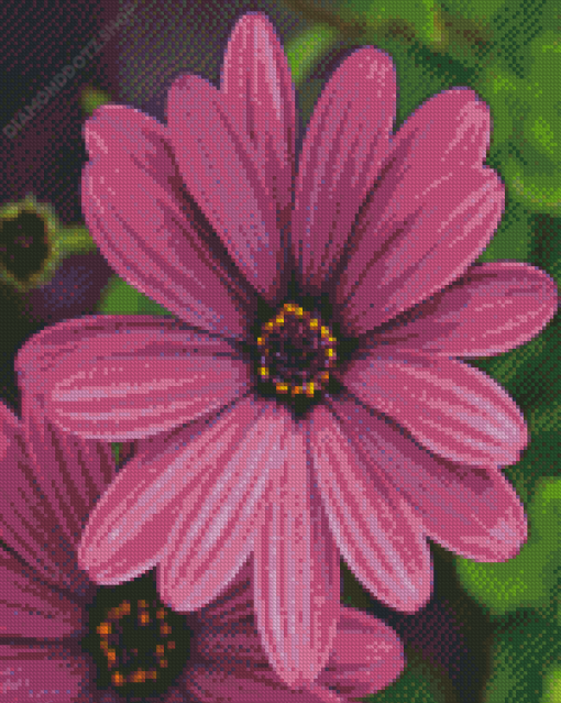 Purple Flowers Diamond Painting