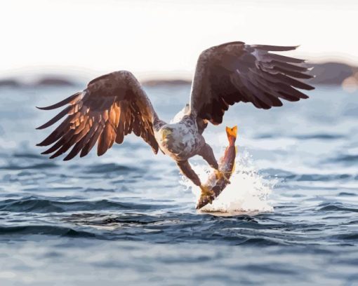 Sea Eagle Catching Fish Diamond Painting