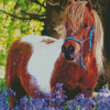 Shetland Pony With Flowers Diamond Painting
