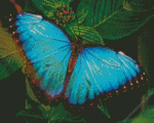 Teal Butterfly Diamond Painting