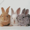 Three Rabbits Diamond Painting