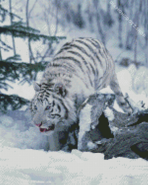 Tiger In Snow Diamond Painting