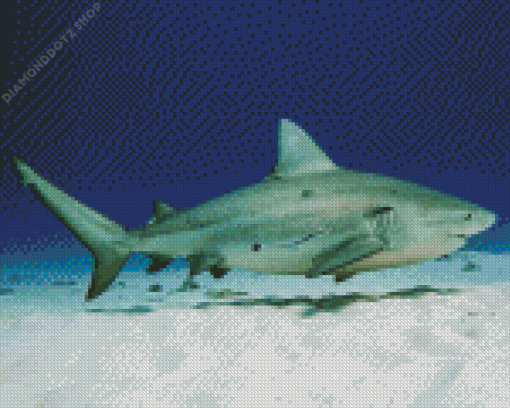 Bull Shark Diamond Painting