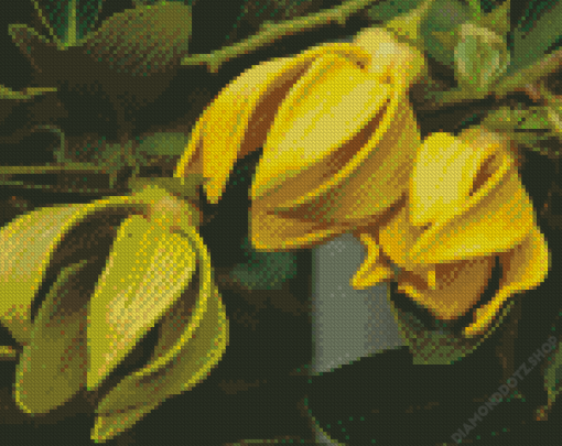 Ylang Ylang Diamond Painting