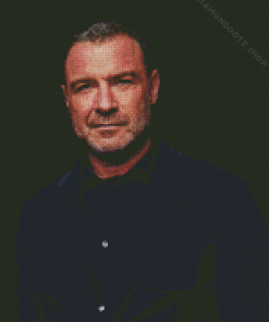 Actor Liev Schreiber Diamond Painting