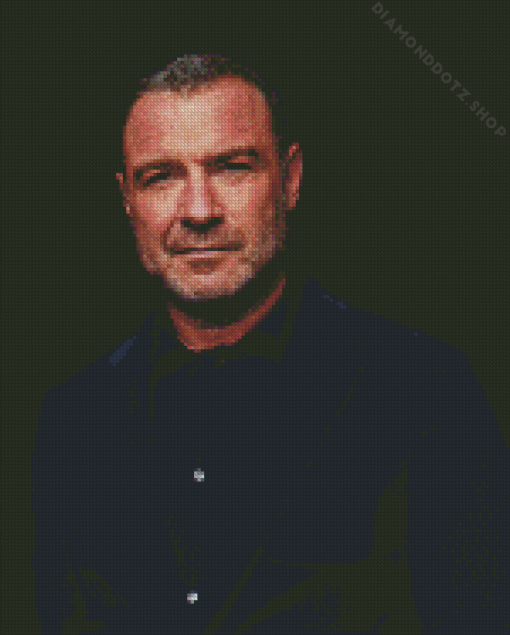 Actor Liev Schreiber Diamond Painting