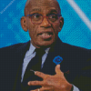 Al Roker Journalist Diamond Painting