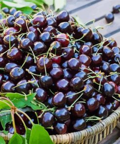 Black Cherry Basket Diamond Painting