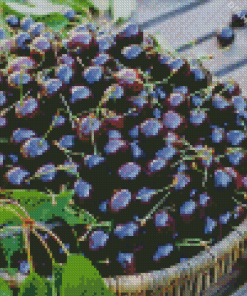 Black Cherry Basket Diamond Painting