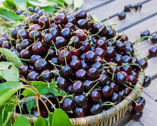 Black Cherry Basket Diamond Painting