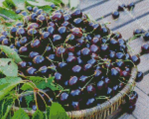 Black Cherry Basket Diamond Painting