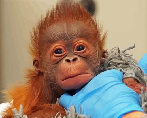 Baby Orangutan Diamond Painting