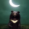 Bear With Crescent Moon Balloon Diamond Painting