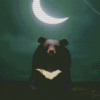 Bear With Crescent Moon Balloon Diamond Painting