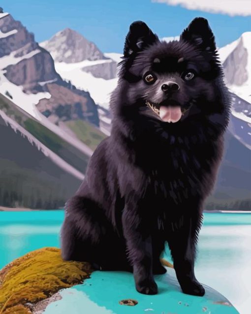 Black Pomeranian Puppy Diamond Painting