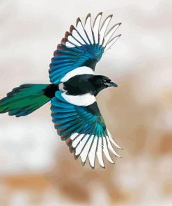 Black Billed Magpie Flying Bird Diamond Painting