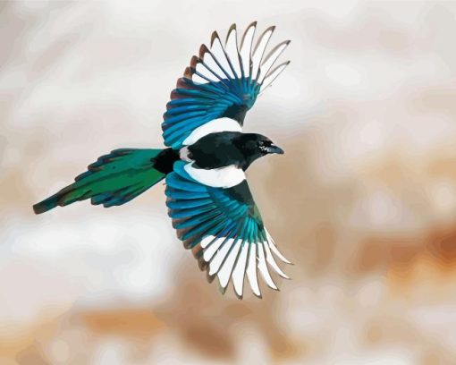 Black Billed Magpie Flying Bird Diamond Painting