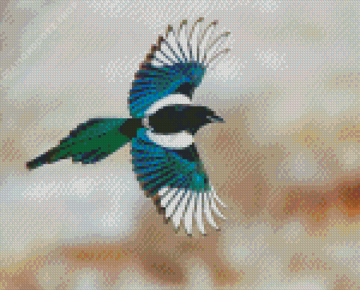 Black Billed Magpie Flying Bird Diamond Painting