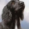 Black Spaniel Diamond Painting