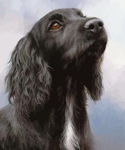 Black Spaniel Diamond Painting