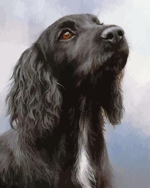 Black Spaniel Diamond Painting