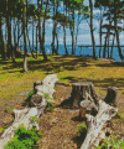 Brownsea Island Landscape Diamond Painting