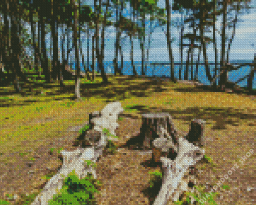 Brownsea Island Landscape Diamond Painting