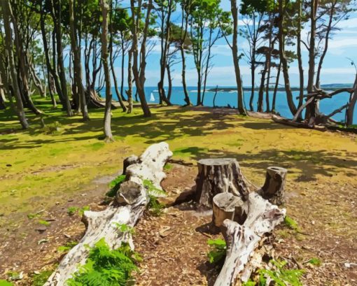 Brownsea Island Landscape Diamond Painting