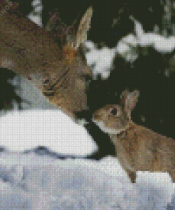 Bunny Deer In Snow Diamond Painting