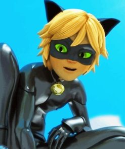 Cat Noir Adrien Agreste Miraculous Diamond Painting