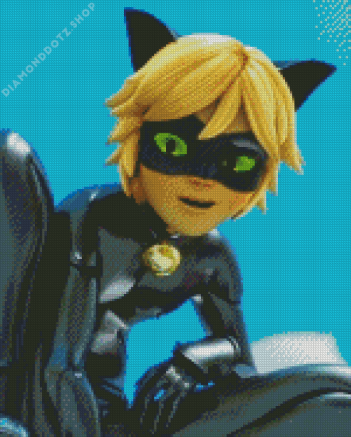 Cat Noir Adrien Agreste Miraculous Diamond Painting