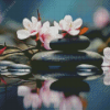 Cherry Blossom And Zen Stones Diamond Painting