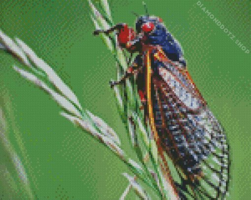 Cicada Diamond Painting