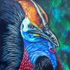 Colorful Cassowary Bird Diamond Painting