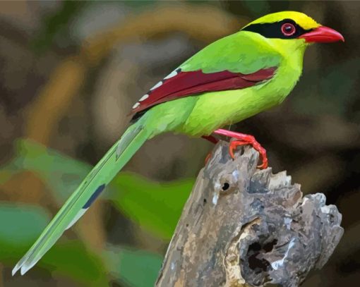 Common Green Magpie Diamond Painting