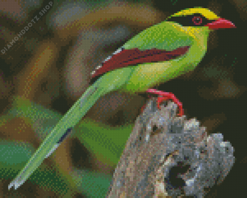 Common Green Magpie Diamond Painting