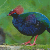 Crested Partridge Bird Diamond Painting