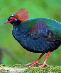 Crested Partridge Bird Diamond Painting