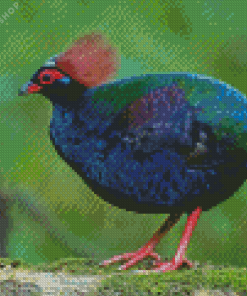 Crested Partridge Bird Diamond Painting