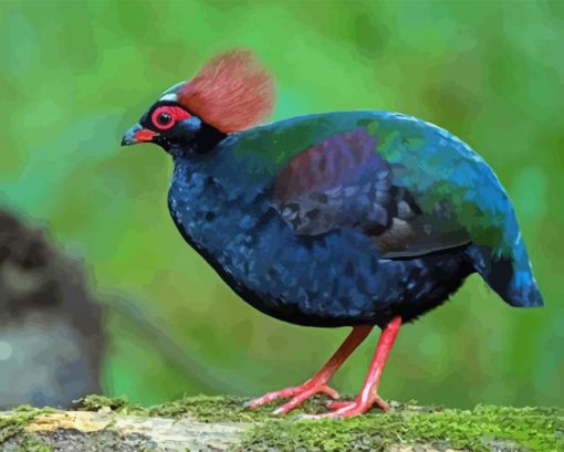 Crested Partridge Bird Diamond Painting