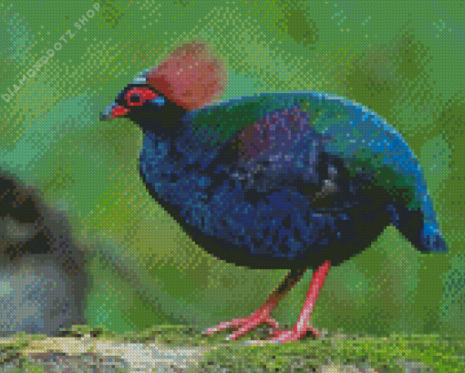 Crested Partridge Bird Diamond Painting