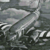 Douglas C 47 Skytrain Aircraft Diamond Painting