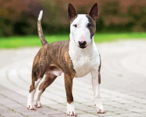 English Bull Terrier Diamond Painting