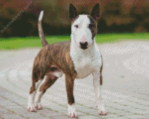 English Bull Terrier Diamond Painting