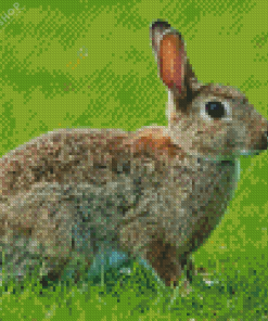 European Rabbit Side View Diamond Painting