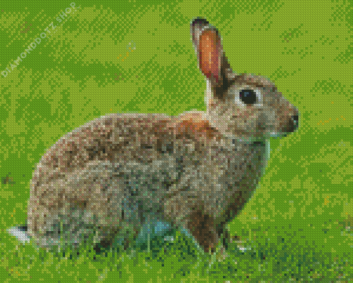 European Rabbit Side View Diamond Painting