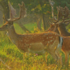 Fallow Deer Forest Of Dean Diamond Painting