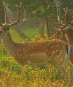 Fallow Deer Forest Of Dean Diamond Painting