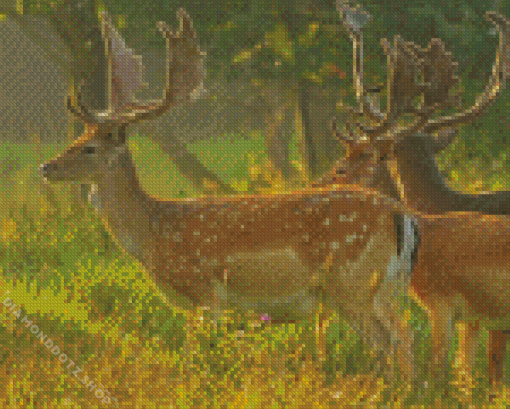 Fallow Deer Forest Of Dean Diamond Painting