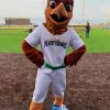 Ferryhawks Mascot Diamond Painting